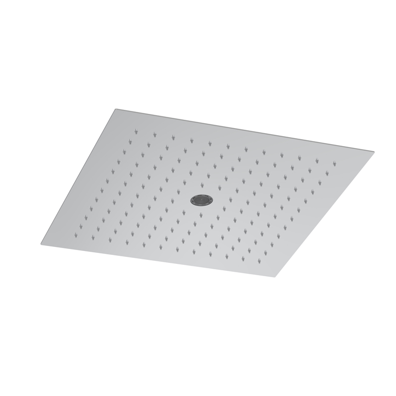 Pomme de tête au plafond en acier inox 2 jets